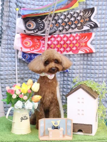 20230521ルアナちゃん